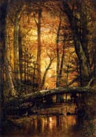 Woods of Ashokan