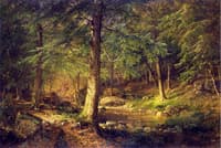 Forest Scene