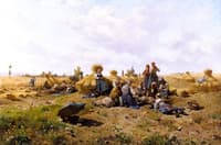 Harvest Scene