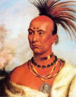 Makataimeshikiakiah (Back Hawk)