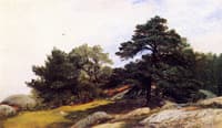 Study for Trees on the Beverly Coast