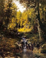 Pool in the Woods