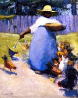 Feeding Chickens
