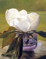 Magnolia Blossom
