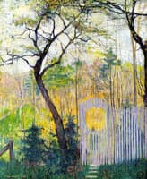An Old Cherry Tree