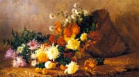 Chrysanthemums