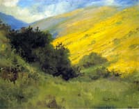 Niguel Canyon: Wild Mustard