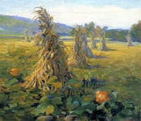 A Corn Field