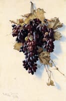 Still LIfe with Grapes