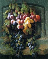 Plums