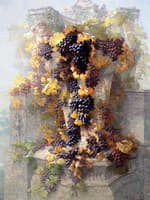 Grapes and Architecture
