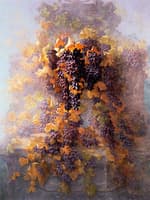 Grapes and Architecture