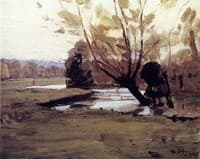 Willows by a River