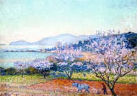 Almond Tree in Blossom