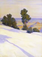 Snowy Landscape