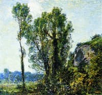 French Poplars