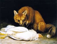 The Fox - Fair Game