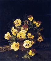Still LIfe Pansies