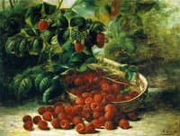 Raspberries in a Basket