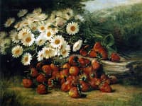 Strawberries and Dasies