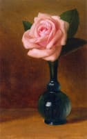 Still Life: Pink Rose in a Green Vase
