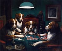 The Poker Game