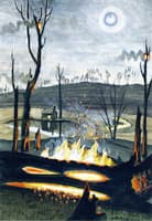 Forest Fire in Moonlight
