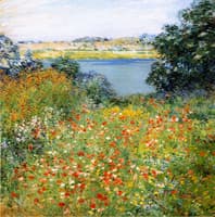 The Poppy Garden