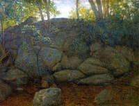 Woodland Rocks