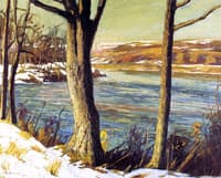 The Old Elm