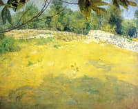 In the Shade of a Tree