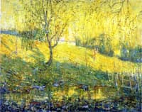 Spring Morning