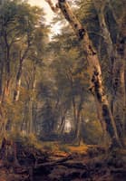 Study: Woodland Interior