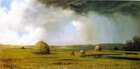 New Jersey Meadows