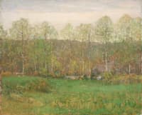 The First Leaves