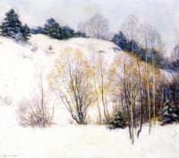 Willows in March