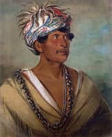Tuch-ee, A Celebrated War Chief of the Cherokees