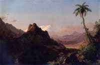 In the Tropics
