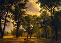 Yosemite Valley Scene