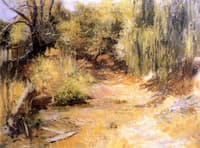 Clearing by a Willow, San Rafael