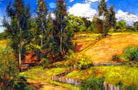 Summer Hillside