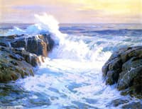 Sunlit Surf