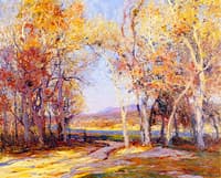 Cottonwoods on the Mojave