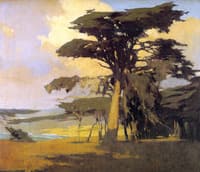 Afternoon Among the Cypress