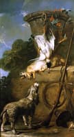 The Water Spaniel
