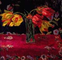 Parrot Tulips
