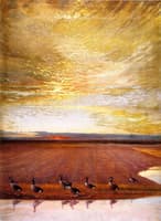 Honkers at Sunrise