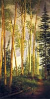 Quaking Aspens, Aspen Grove