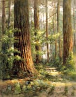 Pines