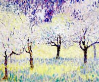 Blossoms